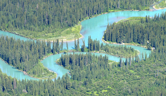 The glaciers must be melting like crazy to turn the Bow River such a vivid turquoise.