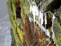 Even the icicles were coated in Rime. I love the colors of the lichen that grow on the black rocks in this area.