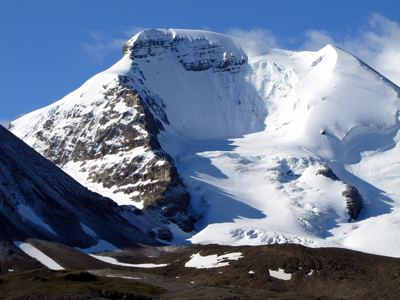 Mount Athabasca dominates the view near Wilcox Pass.