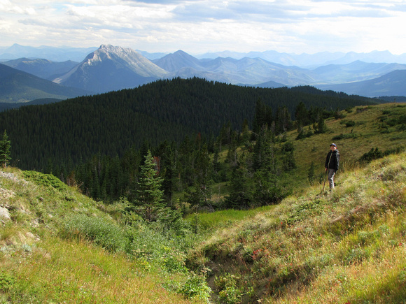 Riley heads back down into the forest. Turtle Mountain can be seen on the left.