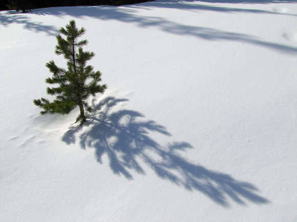 Untouched snow with interesting shadows like this are one of the draws of snowshoeing trips.
