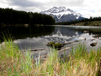Johnson Lake loop is a great family hike near Banff. Cascade Mountain can be seen at the far end.